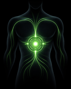 30-Day Weight Reset System